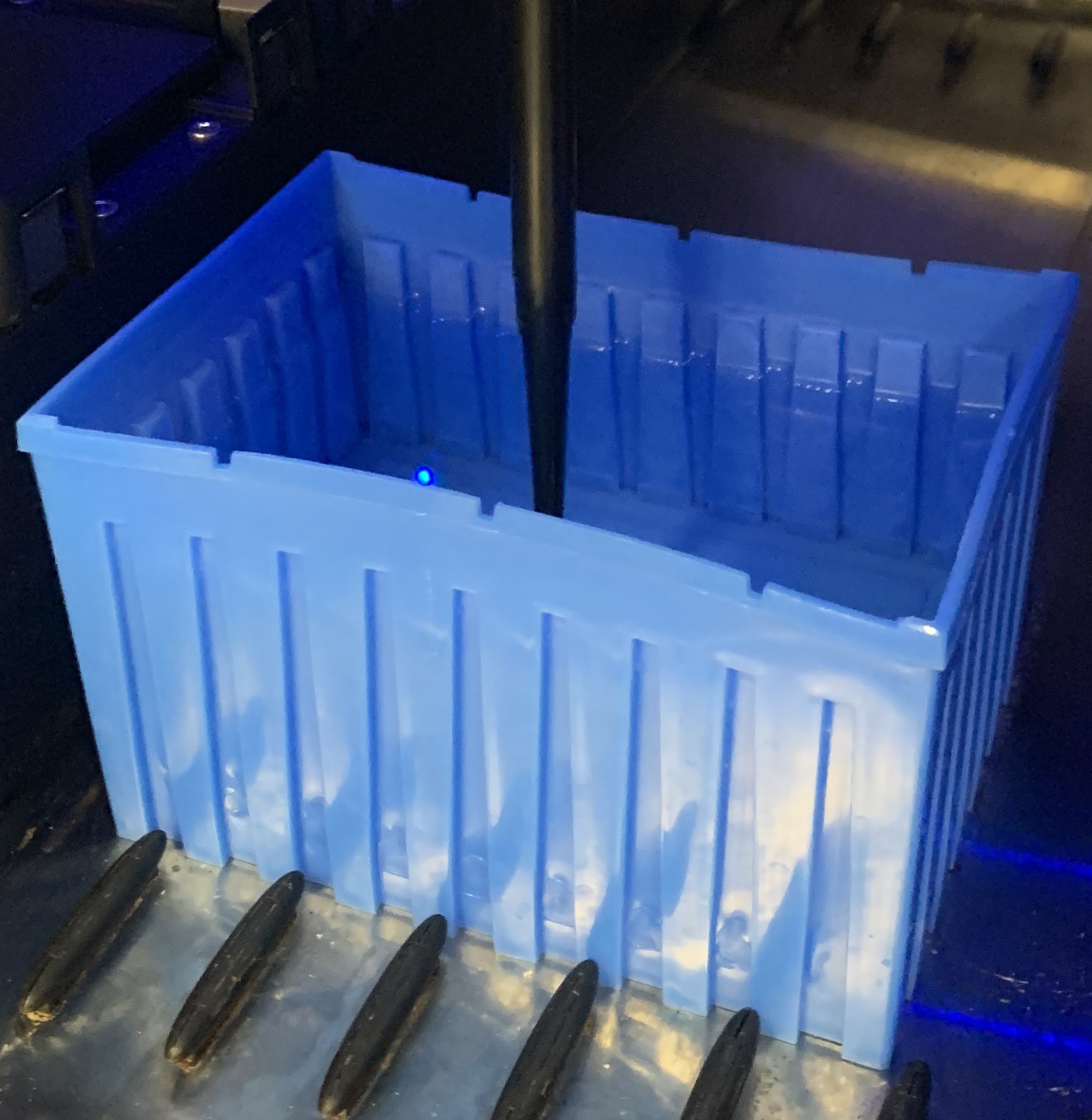 Aspirating from the blue bucket