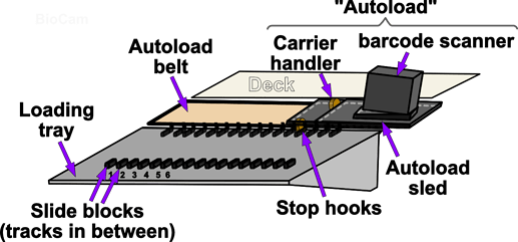 hamilton_star_overview