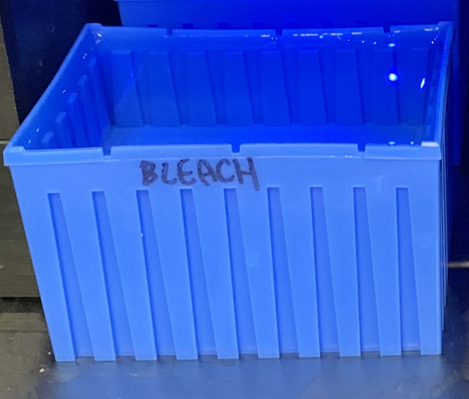 Blue Bucket